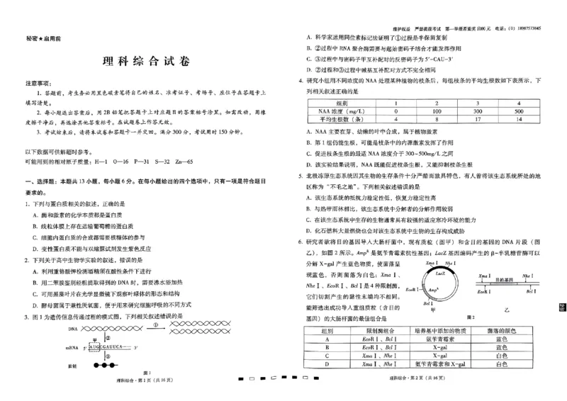 云南师大附中2024届高考适应性月考卷（一）理综_2023年7月_01每日更新_30号_2024届云南省昆明市云南师大附中2023-2024学年高三上学期月考卷（一）
