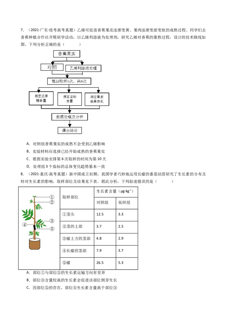 专题15植物的生命活动调节（原卷卷）_近10年高考真题汇编（必刷）_十年（2014-2024）高考生物真题分项汇编（全国通用）_十年（2014-2023）高考生物真题分项汇编（全国通用）