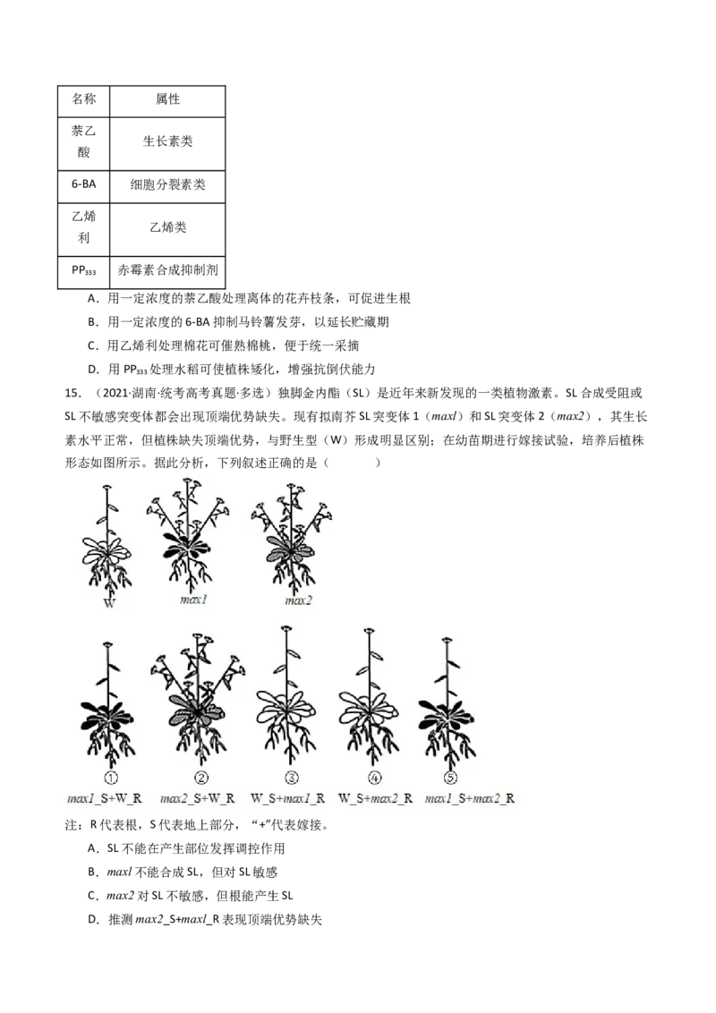 专题15植物的生命活动调节（原卷卷）_近10年高考真题汇编（必刷）_十年（2014-2024）高考生物真题分项汇编（全国通用）_十年（2014-2023）高考生物真题分项汇编（全国通用）