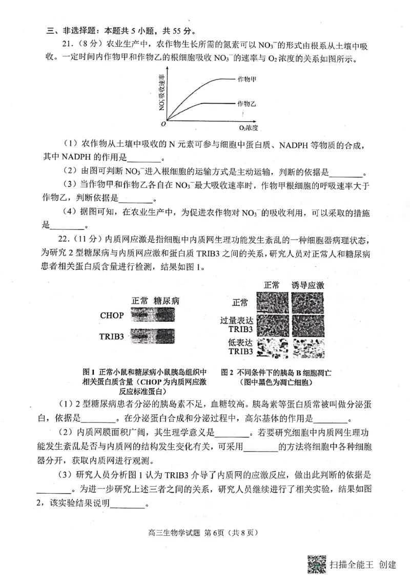 2023届山东省日照市高三上学期第一次校际联考生物试题(1)_2023年8月_028月合集_2023届山东省日照市高三上学期第一次校际联考