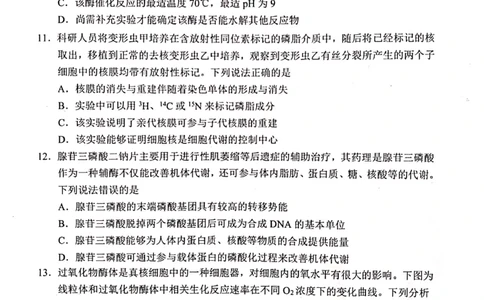 2023届山东省日照市高三上学期第一次校际联考生物试题(1)_2023年8月_028月合集_2023届山东省日照市高三上学期第一次校际联考