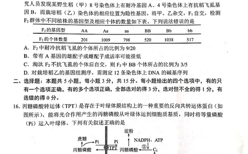 2023届山东省日照市高三上学期第一次校际联考生物试题(1)_2023年8月_028月合集_2023届山东省日照市高三上学期第一次校际联考