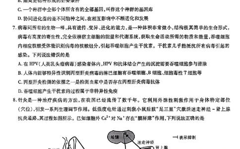 安徽省江淮十校2023-2024学年高三上学期开学考试生物(1)_2023年9月_029月合集_2024届安徽省江淮十校高三上学期开学考试