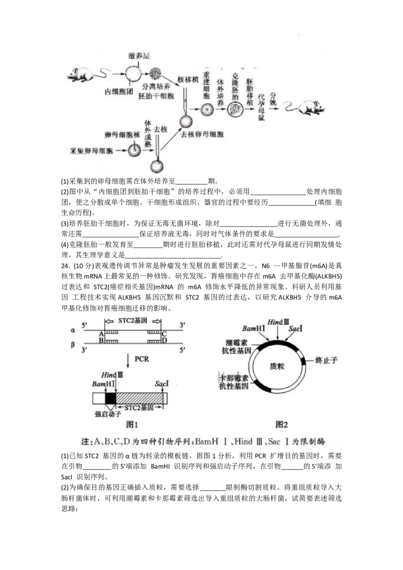 天津市耀华中学2024届高三上学期暑期学情反馈（开学考）生物(1)_2023年9月_029月合集_2024届天津市耀华中学高三上学期暑期学情反馈（开学考）