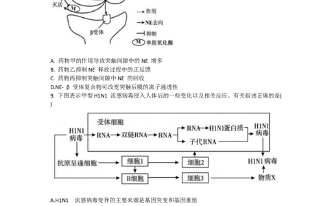 天津市耀华中学2024届高三上学期暑期学情反馈（开学考）生物(1)_2023年9月_029月合集_2024届天津市耀华中学高三上学期暑期学情反馈（开学考）
