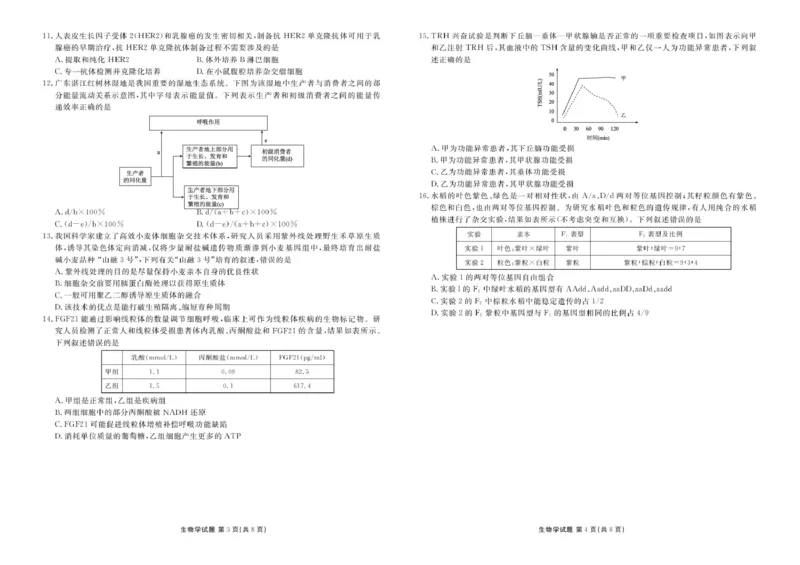 高三生物电子文件高三生物正文（2026届高三年级11月份联考）_2025年11月_251126广东衡水金卷2026届高三11月份联考（全科）_广东衡水金卷2026届高三11月份联考生物（含答案）