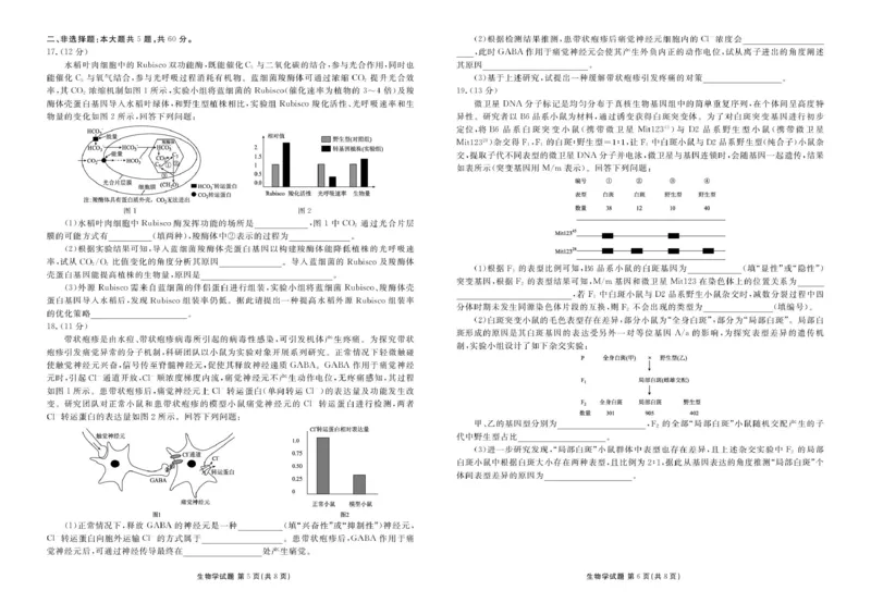 高三生物电子文件高三生物正文（2026届高三年级11月份联考）_2025年11月_251126广东衡水金卷2026届高三11月份联考（全科）_广东衡水金卷2026届高三11月份联考生物（含答案）