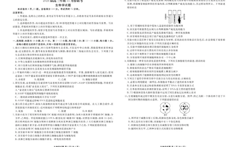 高三生物电子文件高三生物正文（2026届高三年级11月份联考）_2025年11月_251126广东衡水金卷2026届高三11月份联考（全科）_广东衡水金卷2026届高三11月份联考生物（含答案）