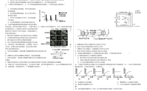 哈尔滨师范大学附属中学高三开学考试生物试题_2023年8月_01每日更新_26号_2024届黑龙江省哈尔滨师范大学附属中学高三上学期开学考试
