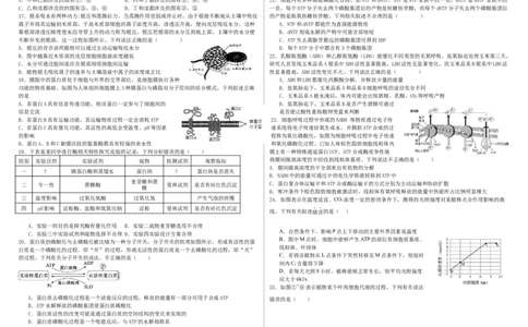 哈尔滨师范大学附属中学高三开学考试生物试题_2023年8月_01每日更新_26号_2024届黑龙江省哈尔滨师范大学附属中学高三上学期开学考试