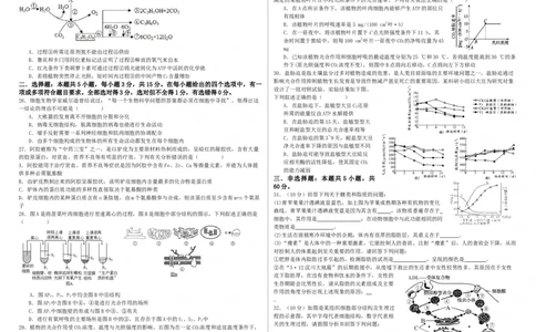 哈尔滨师范大学附属中学高三开学考试生物试题_2023年8月_01每日更新_26号_2024届黑龙江省哈尔滨师范大学附属中学高三上学期开学考试