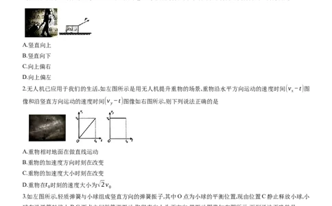 重庆市育才中学等三校2025-2026学年高三上学期10月诊断性月考物理试卷_2025年10月_251010重庆育才中学、鲁能巴蜀中学、万州高级中学高2026届高三10月联合考试