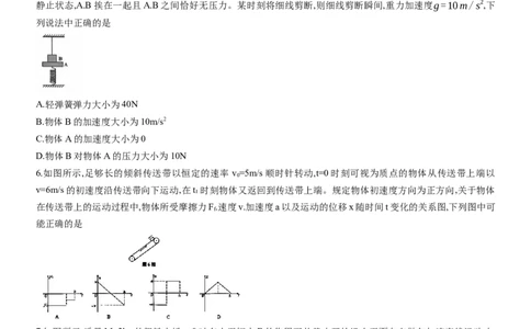 重庆市育才中学等三校2025-2026学年高三上学期10月诊断性月考物理试卷_2025年10月_251010重庆育才中学、鲁能巴蜀中学、万州高级中学高2026届高三10月联合考试