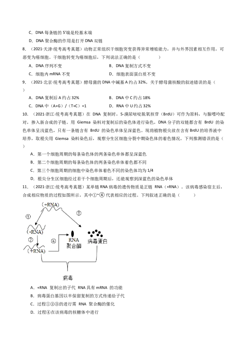 专题10遗传的分子基础（原卷卷）_近10年高考真题汇编（必刷）_十年（2014-2024）高考生物真题分项汇编（全国通用）_十年（2014-2023）高考生物真题分项汇编（全国通用）