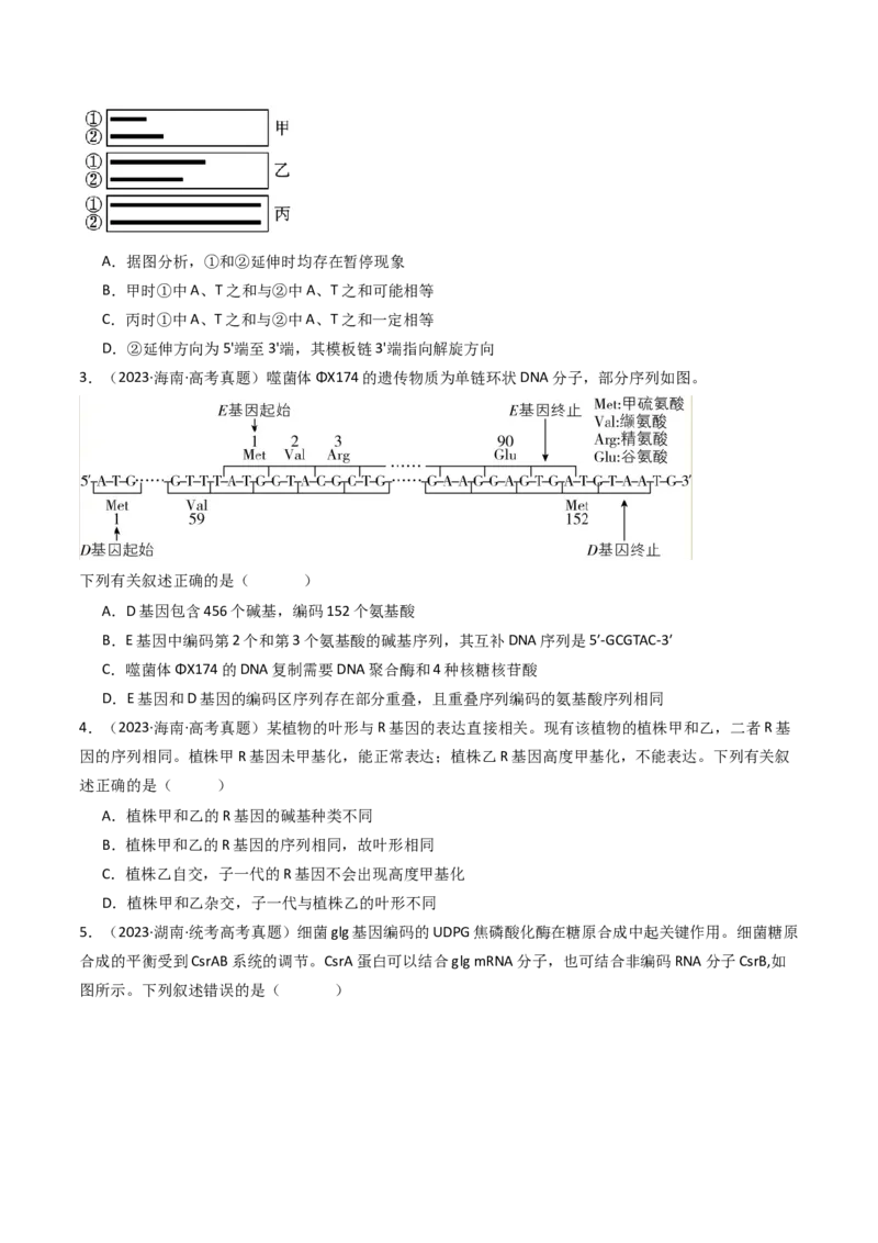 专题10遗传的分子基础（原卷卷）_近10年高考真题汇编（必刷）_十年（2014-2024）高考生物真题分项汇编（全国通用）_十年（2014-2023）高考生物真题分项汇编（全国通用）