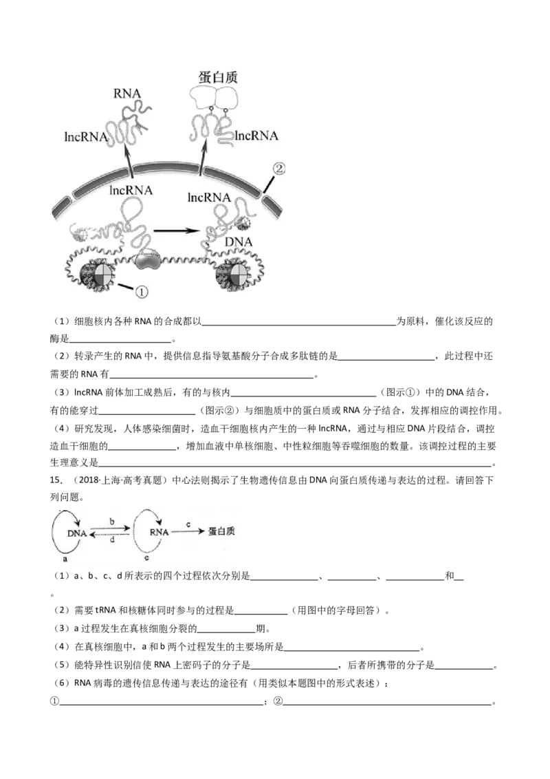 专题10遗传的分子基础（原卷卷）_近10年高考真题汇编（必刷）_十年（2014-2024）高考生物真题分项汇编（全国通用）_十年（2014-2023）高考生物真题分项汇编（全国通用）