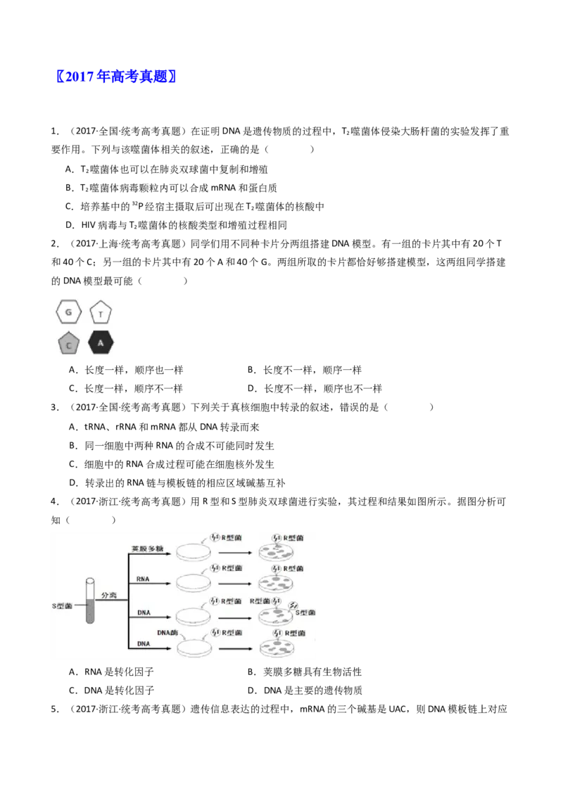 专题10遗传的分子基础（原卷卷）_近10年高考真题汇编（必刷）_十年（2014-2024）高考生物真题分项汇编（全国通用）_十年（2014-2023）高考生物真题分项汇编（全国通用）
