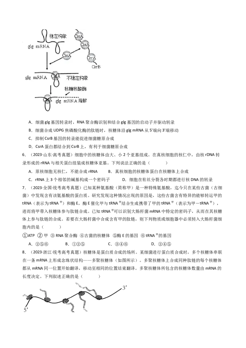 专题10遗传的分子基础（原卷卷）_近10年高考真题汇编（必刷）_十年（2014-2024）高考生物真题分项汇编（全国通用）_十年（2014-2023）高考生物真题分项汇编（全国通用）