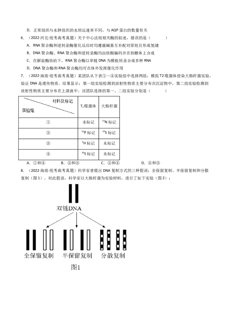 专题10遗传的分子基础（原卷卷）_近10年高考真题汇编（必刷）_十年（2014-2024）高考生物真题分项汇编（全国通用）_十年（2014-2023）高考生物真题分项汇编（全国通用）