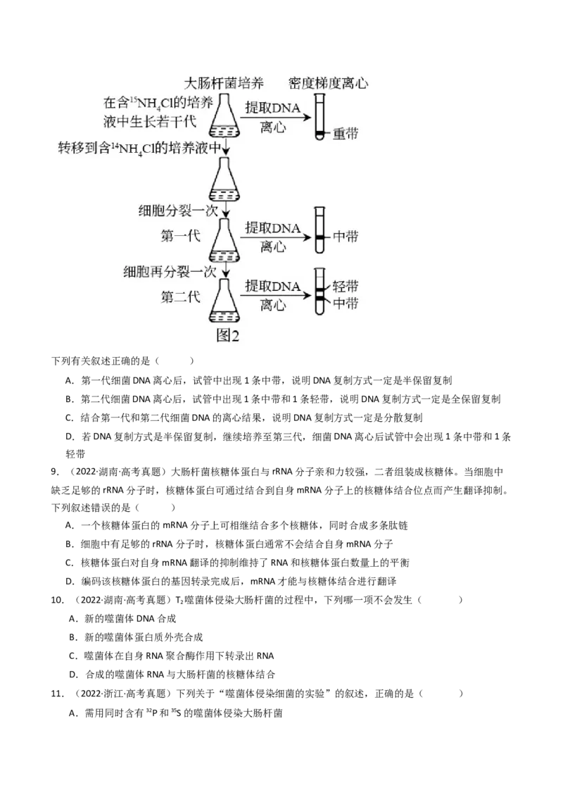 专题10遗传的分子基础（原卷卷）_近10年高考真题汇编（必刷）_十年（2014-2024）高考生物真题分项汇编（全国通用）_十年（2014-2023）高考生物真题分项汇编（全国通用）