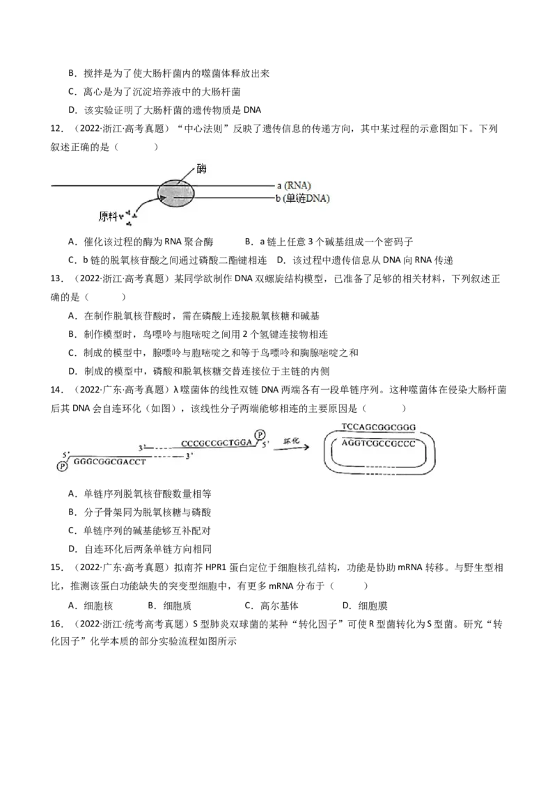 专题10遗传的分子基础（原卷卷）_近10年高考真题汇编（必刷）_十年（2014-2024）高考生物真题分项汇编（全国通用）_十年（2014-2023）高考生物真题分项汇编（全国通用）