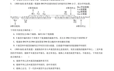 专题10遗传的分子基础（原卷卷）_近10年高考真题汇编（必刷）_十年（2014-2024）高考生物真题分项汇编（全国通用）_十年（2014-2023）高考生物真题分项汇编（全国通用）