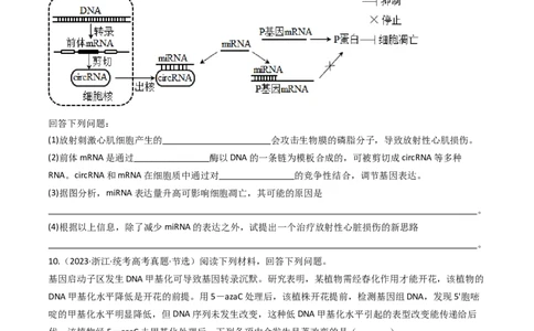 专题10遗传的分子基础（原卷卷）_近10年高考真题汇编（必刷）_十年（2014-2024）高考生物真题分项汇编（全国通用）_十年（2014-2023）高考生物真题分项汇编（全国通用）