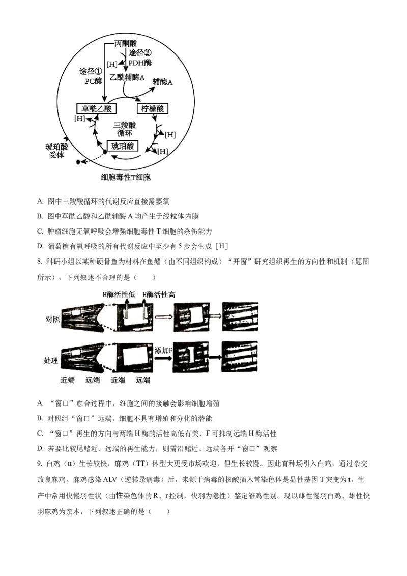 2024年重庆新课标高考生物试卷（原卷版）_高考真题全网收集_生物学_2024年新高考重庆卷生物高考真题解析（参考版）