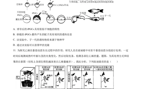 2024年重庆新课标高考生物试卷（原卷版）_高考真题全网收集_生物学_2024年新高考重庆卷生物高考真题解析（参考版）