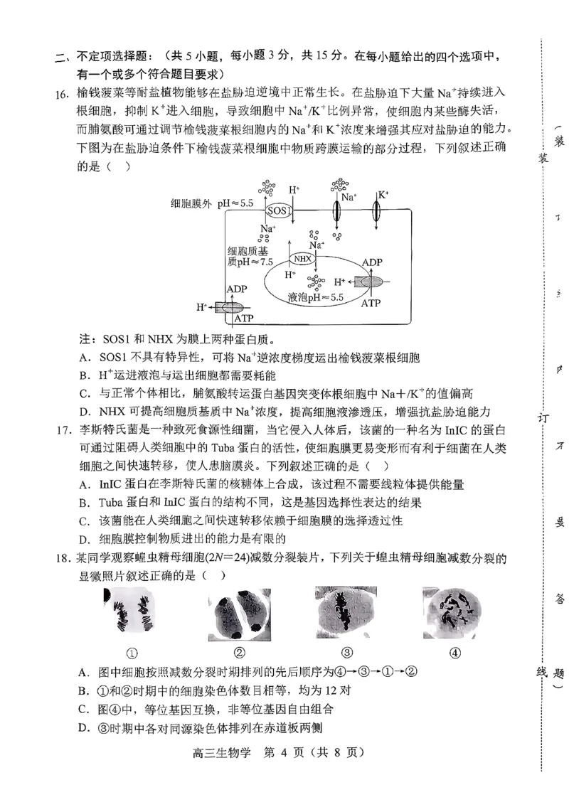 辽宁省重点高中沈阳市郊联体2026届高三年级10月月考+生物试题（含答案）_2025年10月_12026年试卷教辅资源等多个文件