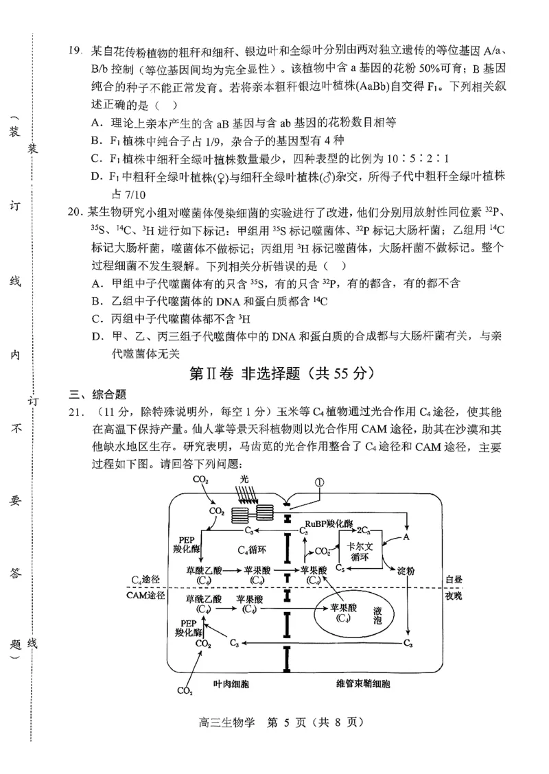 辽宁省重点高中沈阳市郊联体2026届高三年级10月月考+生物试题（含答案）_2025年10月_12026年试卷教辅资源等多个文件