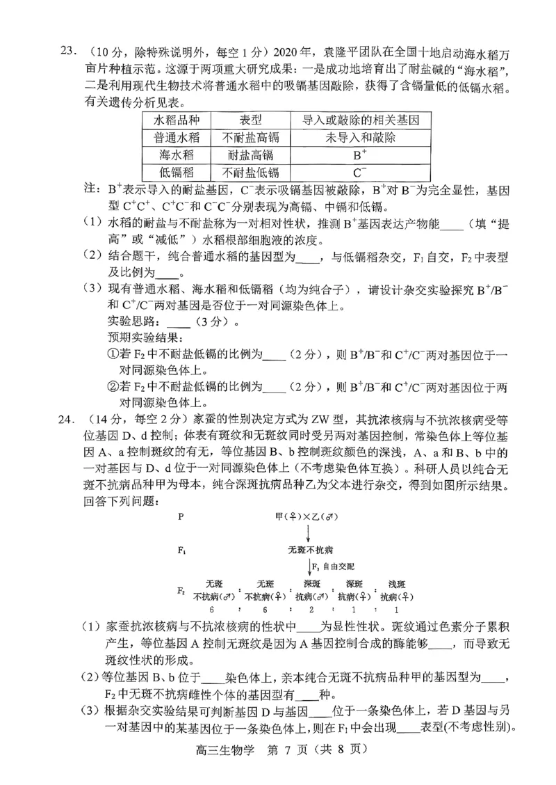 辽宁省重点高中沈阳市郊联体2026届高三年级10月月考+生物试题（含答案）_2025年10月_12026年试卷教辅资源等多个文件