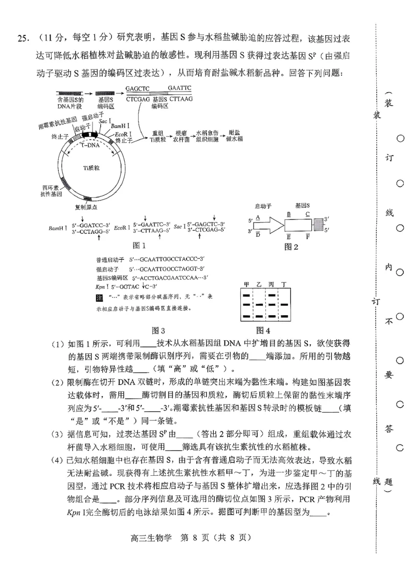 辽宁省重点高中沈阳市郊联体2026届高三年级10月月考+生物试题（含答案）_2025年10月_12026年试卷教辅资源等多个文件