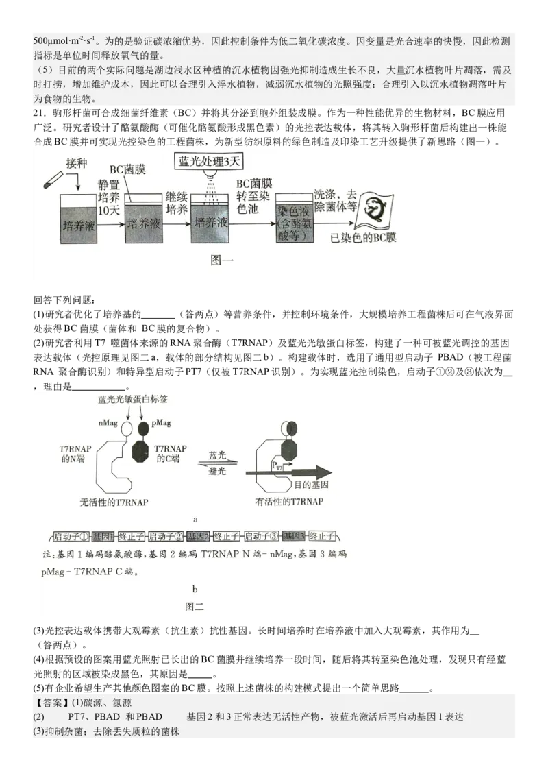 广东生物-答案-p_近10年高考真题汇编（必刷）_2024年高考真题_高考真题（截止6.29）_其他地方卷（目前搜集不完整）_广东卷（物、生、地）