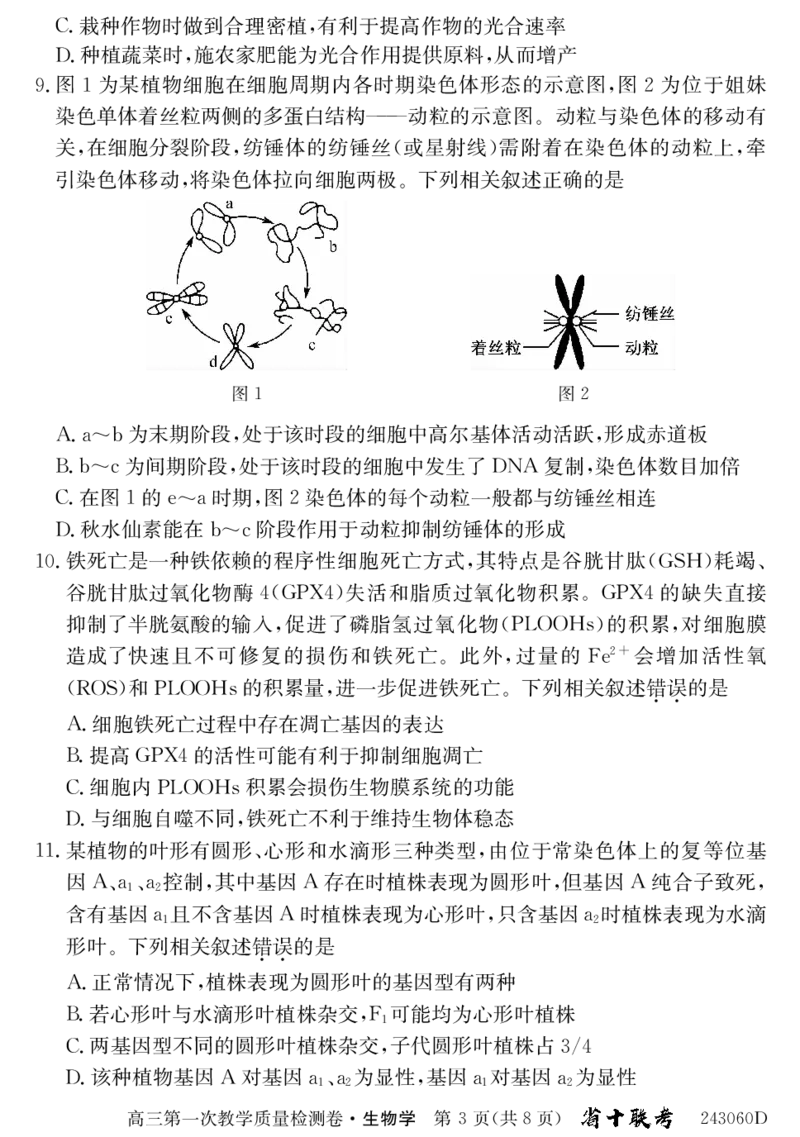 安徽省合肥市第一中学2024届高三上学期第一次教学质量检测生物(1)_2023年10月_01每日更新_19号_2024届安徽省合肥市第一中学高三上学期第一次教学质量检测