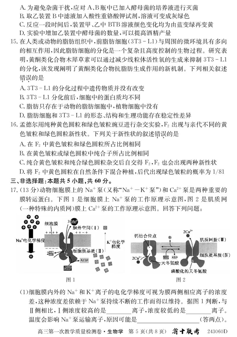 安徽省合肥市第一中学2024届高三上学期第一次教学质量检测生物(1)_2023年10月_01每日更新_19号_2024届安徽省合肥市第一中学高三上学期第一次教学质量检测