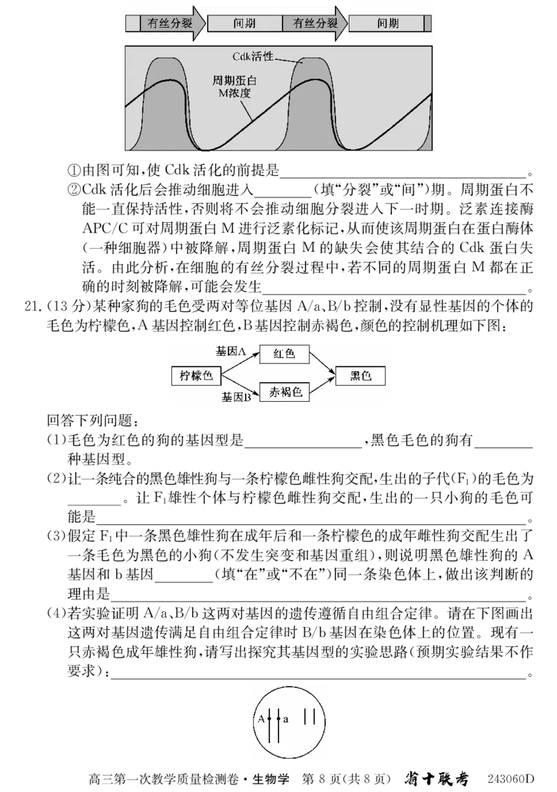 安徽省合肥市第一中学2024届高三上学期第一次教学质量检测生物(1)_2023年10月_01每日更新_19号_2024届安徽省合肥市第一中学高三上学期第一次教学质量检测