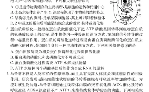 安徽省合肥市第一中学2024届高三上学期第一次教学质量检测生物(1)_2023年10月_01每日更新_19号_2024届安徽省合肥市第一中学高三上学期第一次教学质量检测