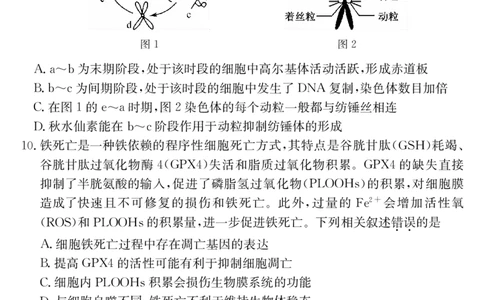 安徽省合肥市第一中学2024届高三上学期第一次教学质量检测生物(1)_2023年10月_01每日更新_19号_2024届安徽省合肥市第一中学高三上学期第一次教学质量检测