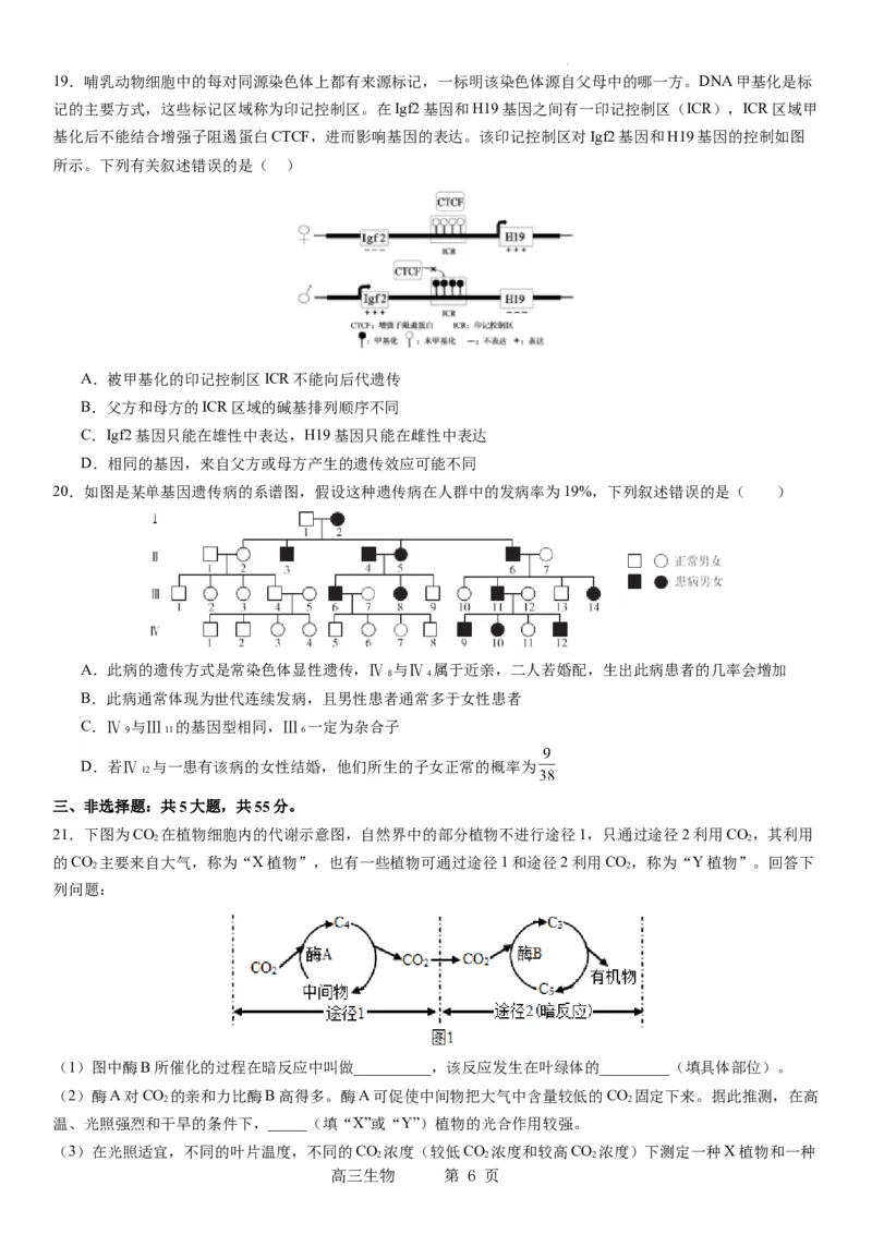 东北育才学校科学高中部2023-2024学年度高考适应性测试（一）生物试题_2023年7月_01每日更新_30号_2024届辽宁省沈阳市东北育才学校科学高中部高三高考适应性测试（一）