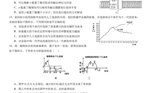 东北育才学校科学高中部2023-2024学年度高考适应性测试（一）生物试题_2023年7月_01每日更新_30号_2024届辽宁省沈阳市东北育才学校科学高中部高三高考适应性测试（一）