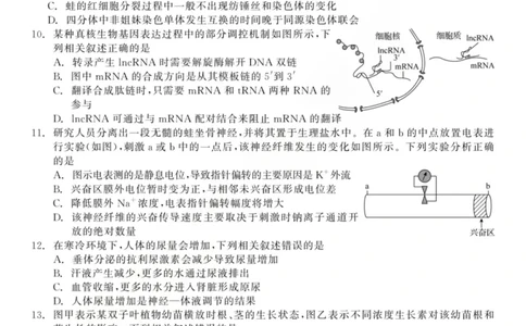 龙江教育联盟2026年1月高三上学期期末考试生物(1)_2026年1月_260116黑龙江省龙江教育联盟2026年1月高三上学期期末考试（全科）