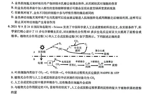 安徽省江淮十校2022-2023学年高三上学期第一次联考生物试题(1)_2023年7月_027月合集_2023届安徽省江淮十校高三上学期第一次联考