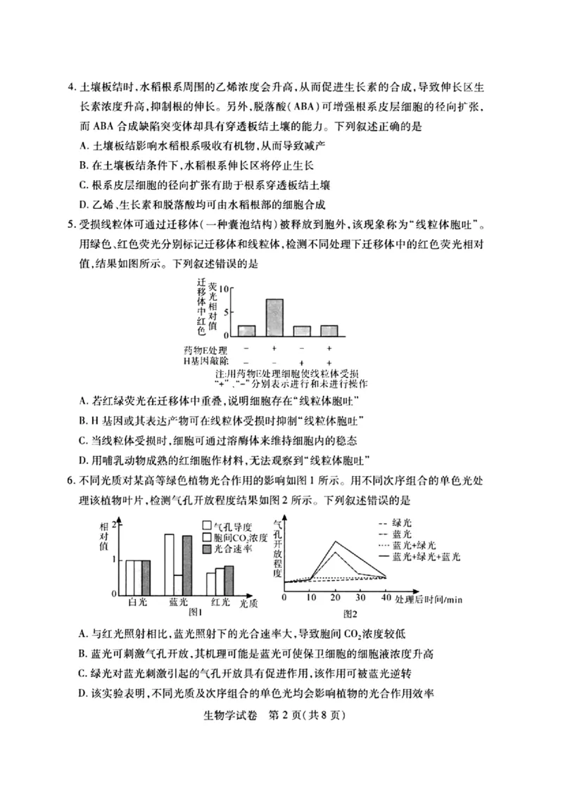 2024届武汉市高三九调生物试卷_2023年9月_01每日更新_8号_2024届湖北省武汉市高三九月调研考试_2024届湖北省武汉市高三九月调研考试生物