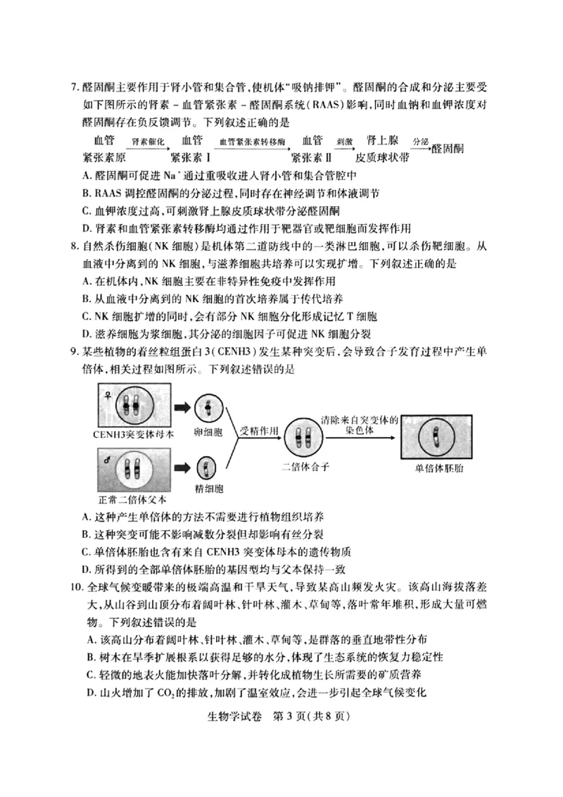 2024届武汉市高三九调生物试卷_2023年9月_01每日更新_8号_2024届湖北省武汉市高三九月调研考试_2024届湖北省武汉市高三九月调研考试生物