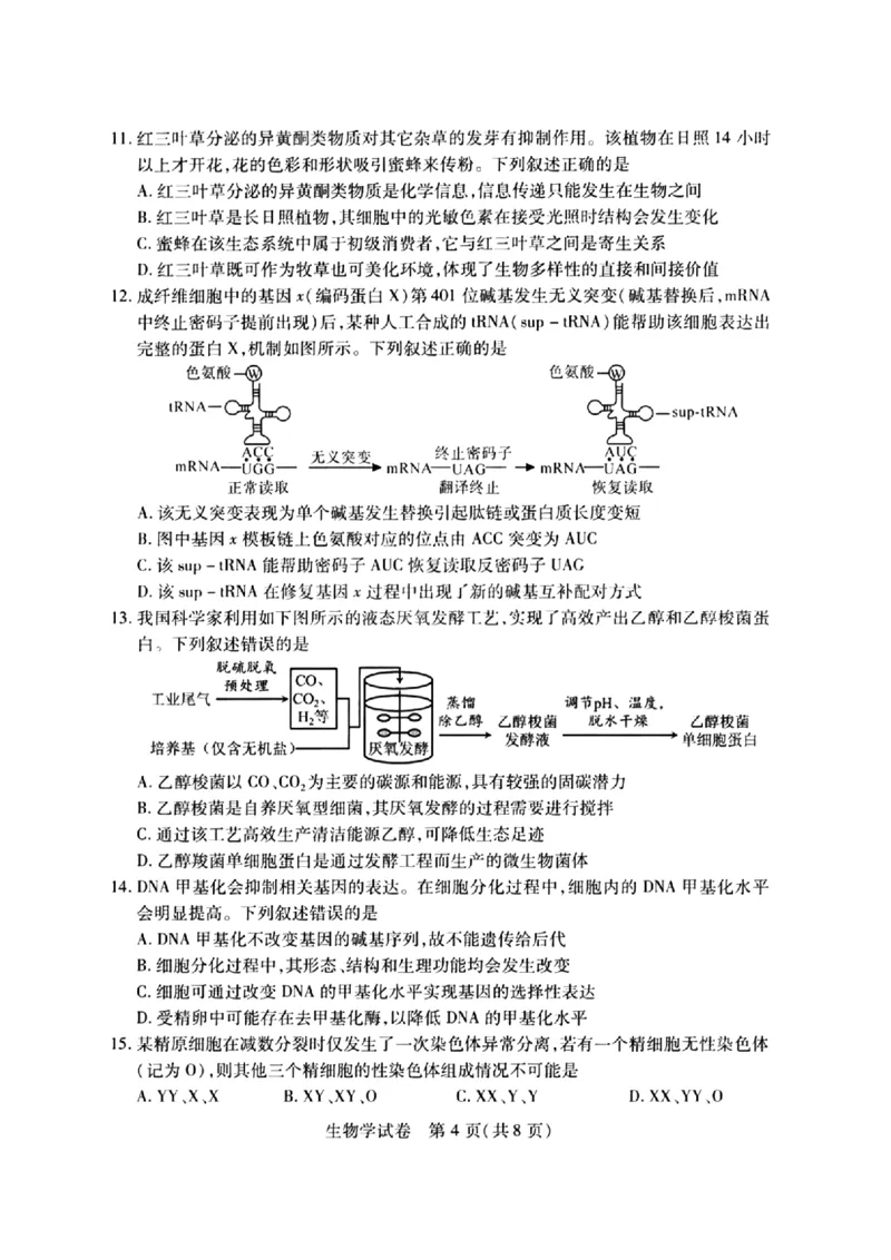 2024届武汉市高三九调生物试卷_2023年9月_01每日更新_8号_2024届湖北省武汉市高三九月调研考试_2024届湖北省武汉市高三九月调研考试生物