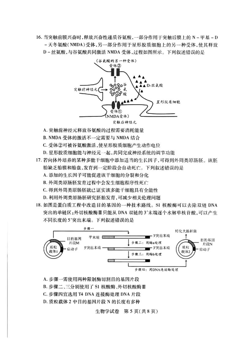 2024届武汉市高三九调生物试卷_2023年9月_01每日更新_8号_2024届湖北省武汉市高三九月调研考试_2024届湖北省武汉市高三九月调研考试生物