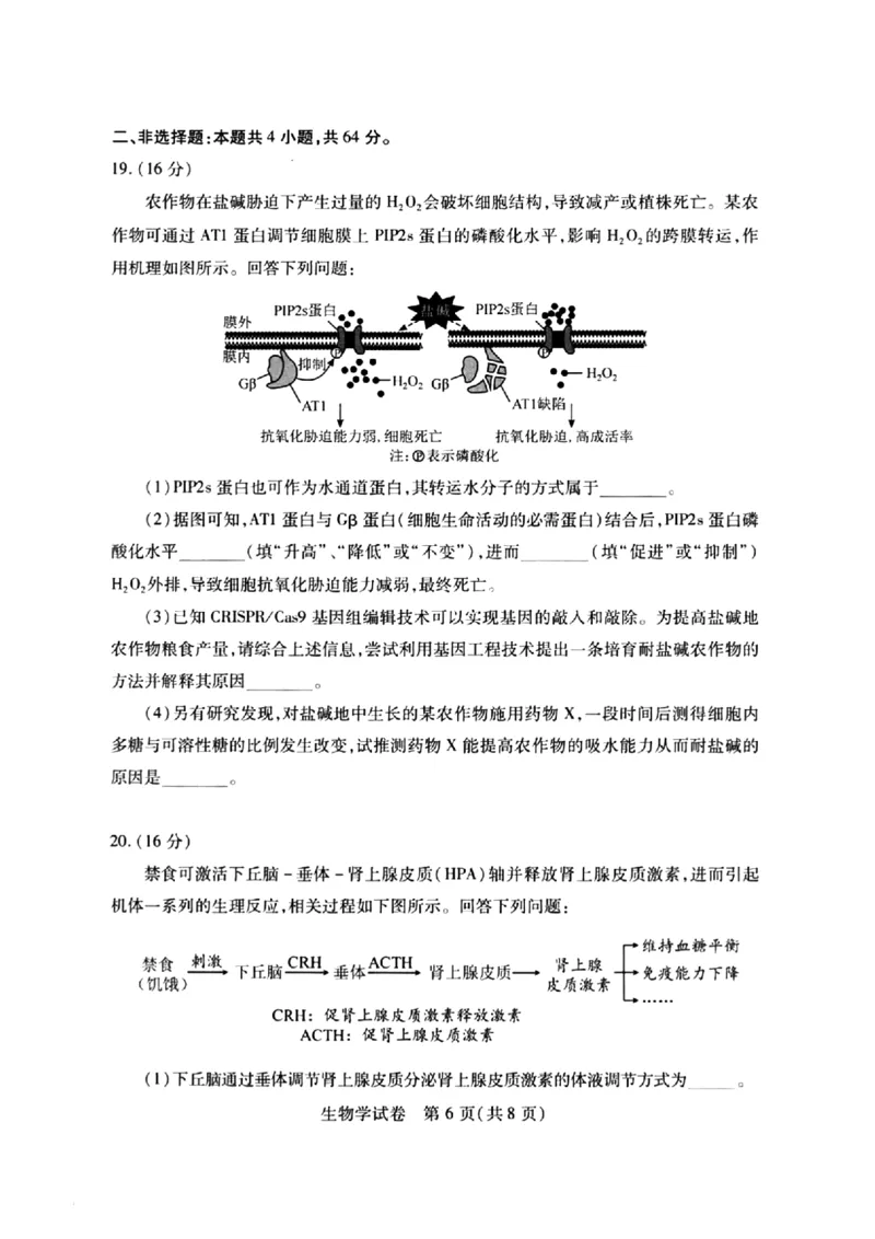 2024届武汉市高三九调生物试卷_2023年9月_01每日更新_8号_2024届湖北省武汉市高三九月调研考试_2024届湖北省武汉市高三九月调研考试生物