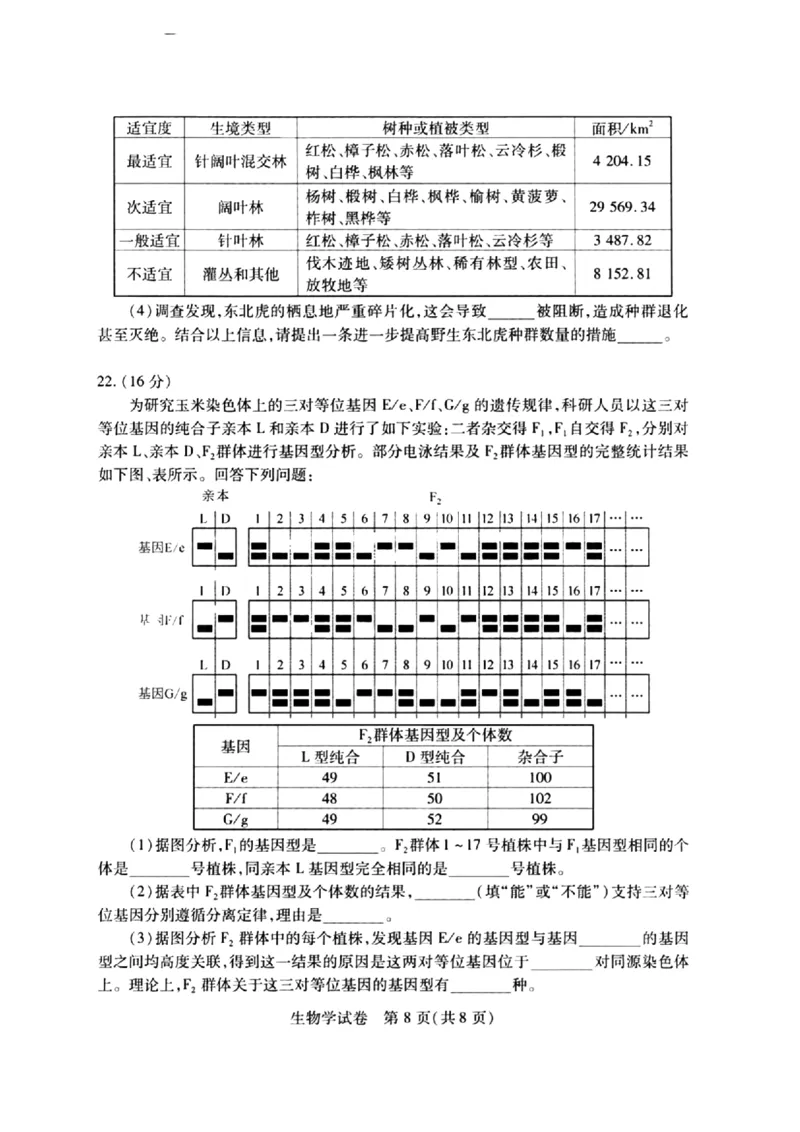 2024届武汉市高三九调生物试卷_2023年9月_01每日更新_8号_2024届湖北省武汉市高三九月调研考试_2024届湖北省武汉市高三九月调研考试生物