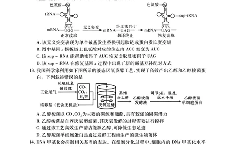 2024届武汉市高三九调生物试卷_2023年9月_01每日更新_8号_2024届湖北省武汉市高三九月调研考试_2024届湖北省武汉市高三九月调研考试生物